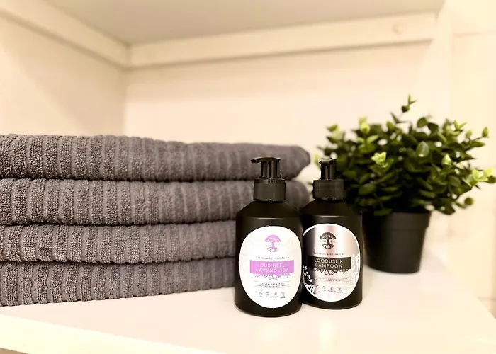 In With Parking * Viljandi (Viljandimaa)